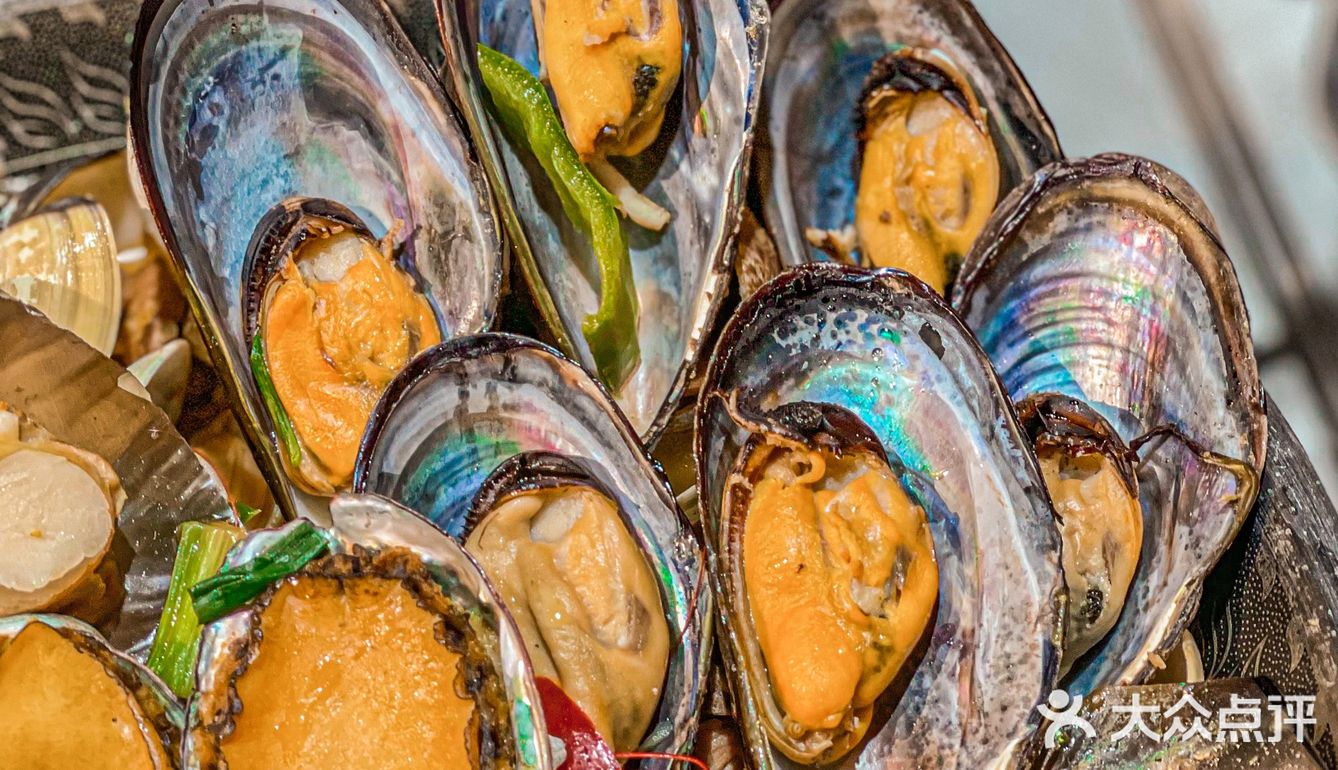 生猛海鲜锅‼️人均50+海鲜上桌还在跳｜番禺新店