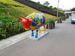 景点-东部华侨城