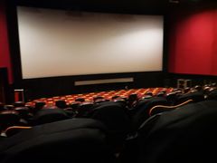 -AMG海上明珠影城(上海环球港RealDCinema店)