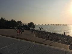 -宝安西湾红树林湿地公园