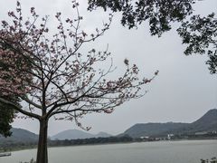 -风云岭森林公园