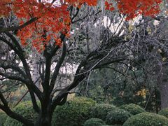 -香山公园