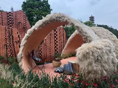-深圳仙湖植物园