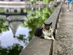 -西园寺