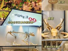 -广东中医药博物馆