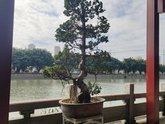 -光明港公园