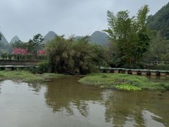 -靖西鹅泉风景区