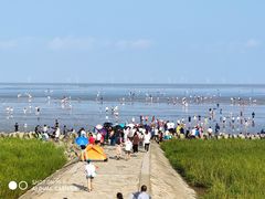 -南汇嘴观海公园