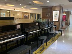 -知音艺术教育培训·钢琴培训·音乐培训(河西金鹰世界校区)