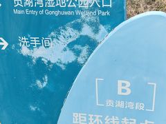 -贡湖湾湿地公园