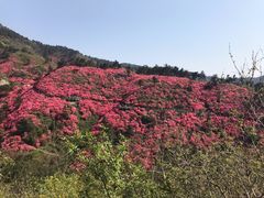 -木兰云雾山