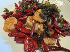 -唐猫庭院·千年陕菜(大唐不夜城店)