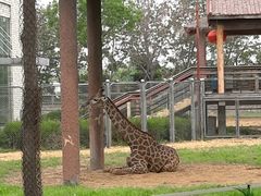 -石家庄市动物园