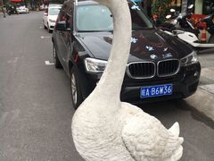 -巢湖名吃·东关老鹅汤(江南风情街店)