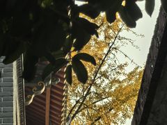 -四川大学(华西校区)