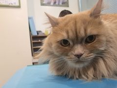 -美迦爱-牙专科·兔科·骨科诊疗中心(北苑店)