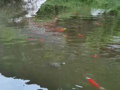 -西安华清御汤酒店