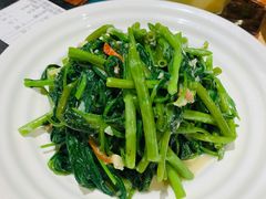 -老广酒楼(樱花店)