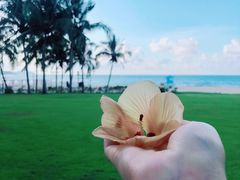 -石梅湾艾美度假酒店