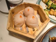 -陶陶居酒家(新天地店)