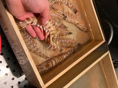 -码头见·潮汕菜(领展中心城店)