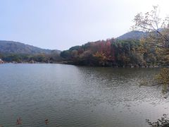 -白马涧龙池景区