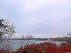 -青岛第三海水浴场