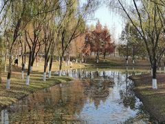 -西安浐灞国家湿地公园
