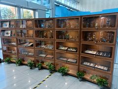 -中国杭州低碳科技馆
