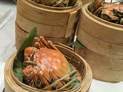 阳澄湖大闸蟹-火福·天湖阁大闸蟹博物馆主题餐厅(浅水湾店)