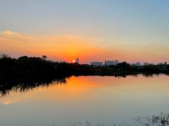 -光明小镇欢乐田园