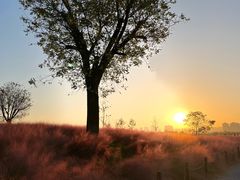 -汉长安城未央宫国家考古遗址公园