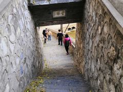 -北京上方山国家森林公园