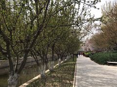 -元大都城垣遗址公园