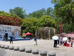 -合肥滨湖国家森林公园