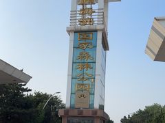 -日照海滨国家森林公园