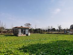 -洪湖家庭农场·团建·露营·会议