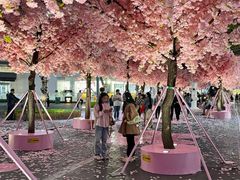 -东莞松山湖万象汇