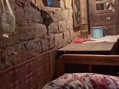 -米苏动物医院·犬猫专科·骨科外科内窥镜