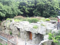 -成都市活水公园