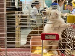 -后海16号·北京私房菜