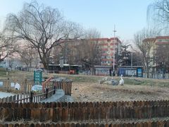 -黄村公园