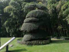 -苏州河梦清园环保主题公园