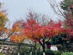 -清漾毛氏文化村