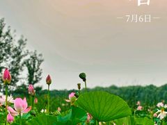 -东郊湿地公园