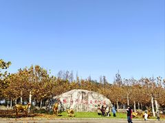 -上海海湾国家森林公园