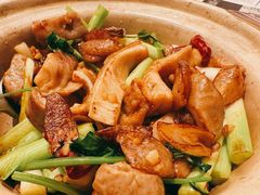 沙姜猪肚鸡-利苑酒家(宜安广场店)