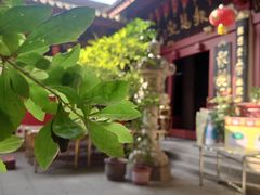 -叩齿古寺