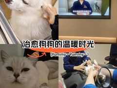-御宝贝24h宠物医院·转诊中心·CT核磁血透中心(厦门总院)