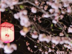 -铁像寺水街